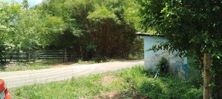 4-Hectare Farm in Las Minas, Herrera - image 35