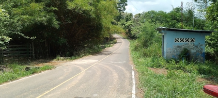 4-Hectare Farm in Las Minas, Herrera - image 37