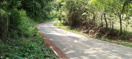 4-Hectare Farm in Las Minas, Herrera - image 36