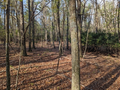 Investment Property for Sale at Auction in Check - image 6