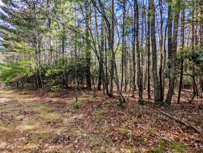 Investment Property for Sale at Auction in Check - image 13