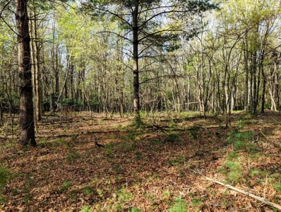 Investment Property for Sale at Auction in Check - image 17