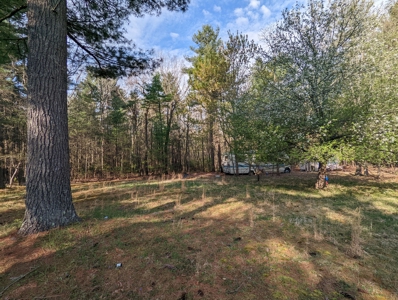 Investment Property for Sale at Auction in Check - image 10