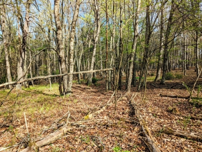 Investment Property for Sale at Auction in Check - image 18