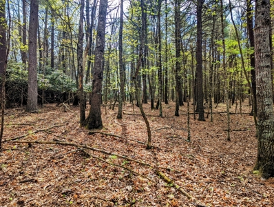 Investment Property for Sale at Auction in Check - image 19