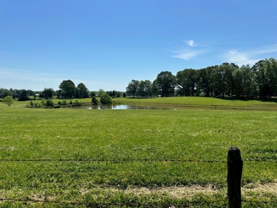 22 Acre Farm For Sale In Middleton Tn - image 2