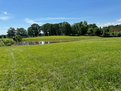 22 Acre Farm For Sale In Middleton Tn - image 23