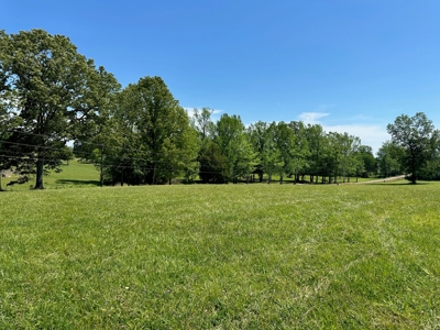 22 Acre Farm For Sale In Middleton Tn - image 39