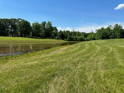 22 Acre Farm For Sale In Middleton Tn - image 6
