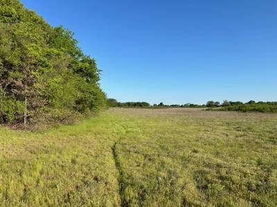 184 Ac For Sale Montague County Texas - image 9
