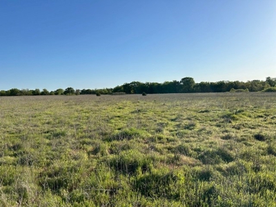 184 Ac For Sale Montague County Texas - image 7