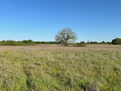 184 Ac For Sale Montague County Texas - image 5
