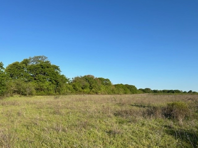 184 Ac For Sale Montague County Texas - image 2