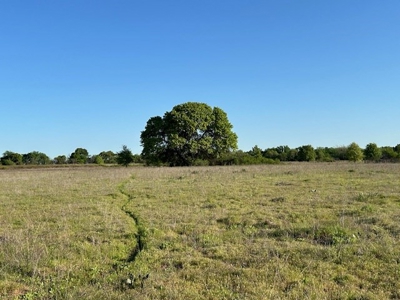 184 Ac For Sale Montague County Texas - image 8