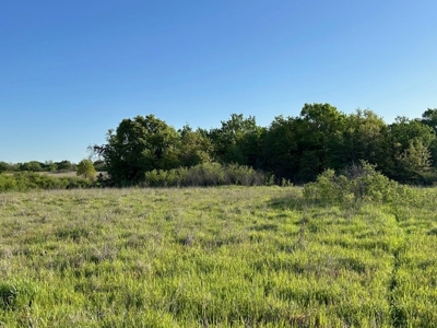 184 Ac For Sale Montague County Texas - image 6