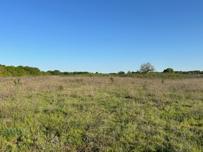 184 Ac For Sale Montague County Texas - image 4