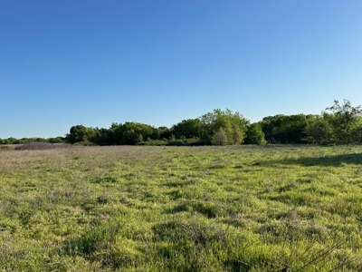 184 Ac For Sale Montague County Texas - image 3