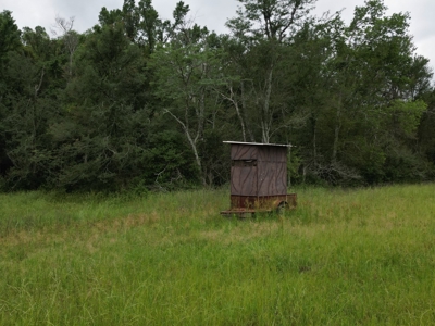Boeuf 53 for Sale Northeast Louisiana - image 3