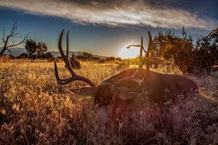 Mountain View Ranch: Luxury Living in Crawford, Colorado - image 47
