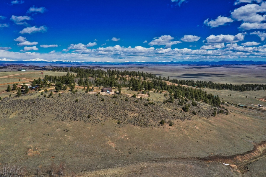 Birds Eye View