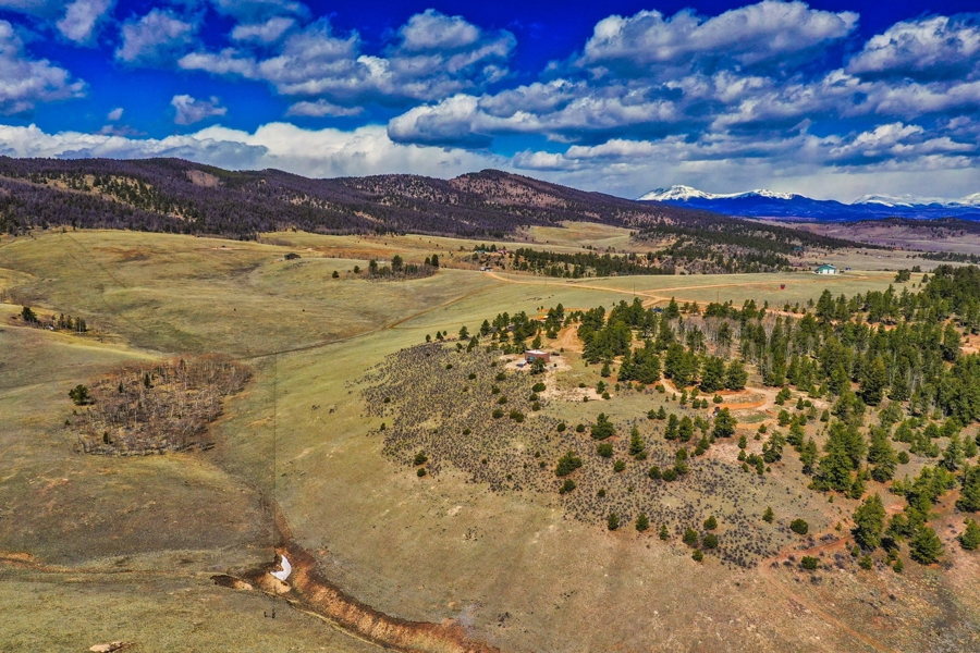 Birds Eye View