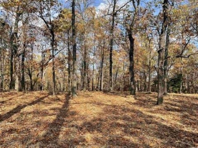 Residential Lot In A Great Location In Horseshoe Bend Arkansas - image 4