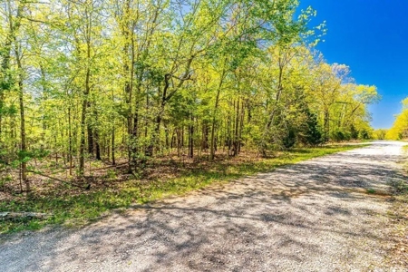 Residential Lot In A Great Location In Horseshoe Bend Arkansas - image 6