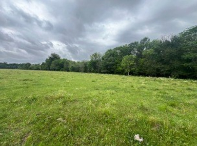 Boeuf 80 For Sale Northeast Louisiana - image 26