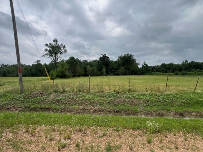 Boeuf 80 For Sale Northeast Louisiana - image 16