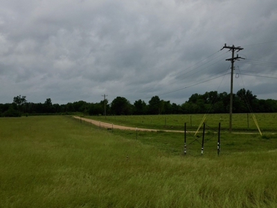 Boeuf 80 For Sale Northeast Louisiana - image 4