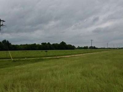 Boeuf 80 For Sale Northeast Louisiana - image 3