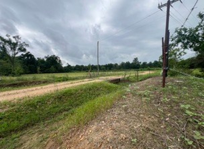 Boeuf 80 For Sale Northeast Louisiana - image 28