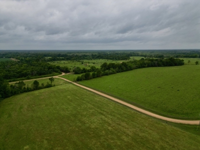 Boeuf 80 For Sale Northeast Louisiana - image 7