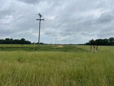 Boeuf 80 For Sale Northeast Louisiana - image 14