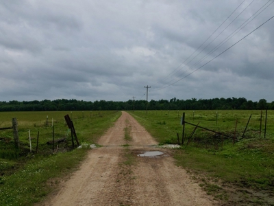 Boeuf 80 For Sale Northeast Louisiana - image 2
