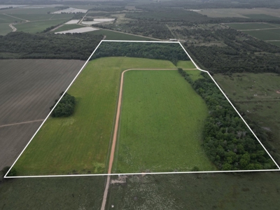 Boeuf 80 For Sale Northeast Louisiana - image 1