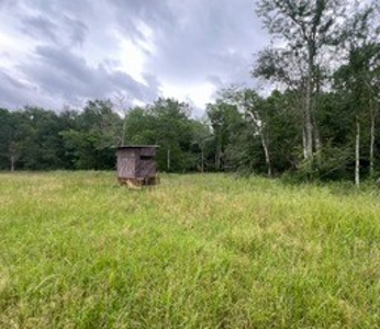 Boeuf 80 For Sale Northeast Louisiana - image 21