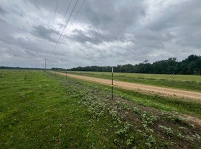 Boeuf 80 For Sale Northeast Louisiana - image 27