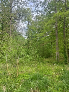 2 Acres in Scott County Indiana - image 7