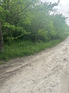 2 Acres in Scott County Indiana - image 2