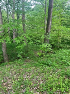 2 Acres in Scott County Indiana - image 5