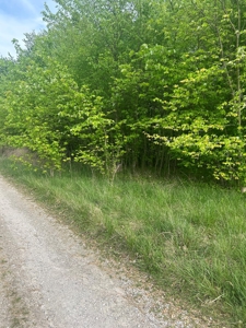 2 Acres in Scott County Indiana - image 1