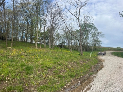 Lake Lot For Sale - image 3