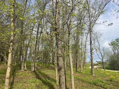 Lake Lot For Sale - image 4