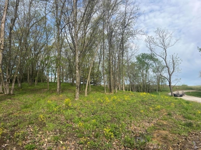 Lake Lot For Sale - image 6