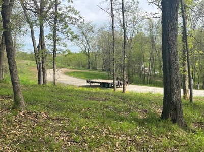 Lake Lot For Sale - image 5