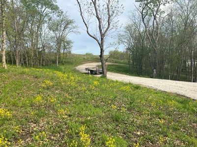 Lake Lot For Sale - image 2