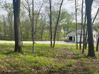 Lake Lot For Sale - image 7