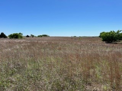 Kansas Land For Sale- Kingman County- Unit 15 - image 21