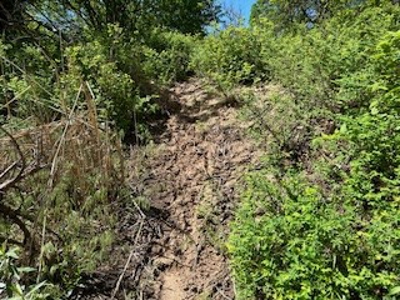 Kansas Land For Sale- Kingman County- Unit 15 - image 8